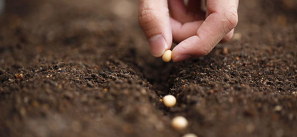 calendari d’aterratge abril de 2019