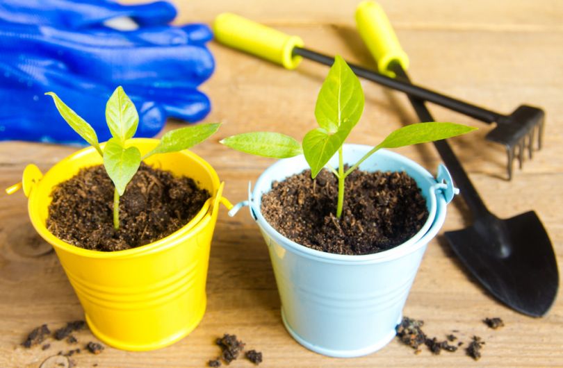 landing calendar April 2019