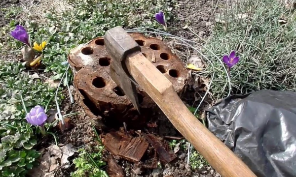 Stump trên cốt truyện