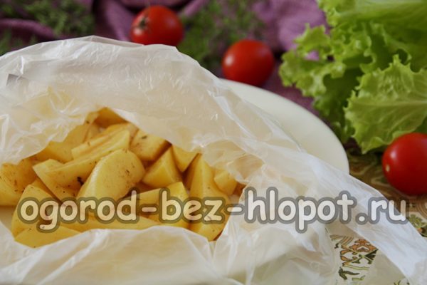 bỏ khoai tây vào túi