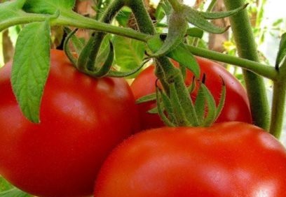 експлозията