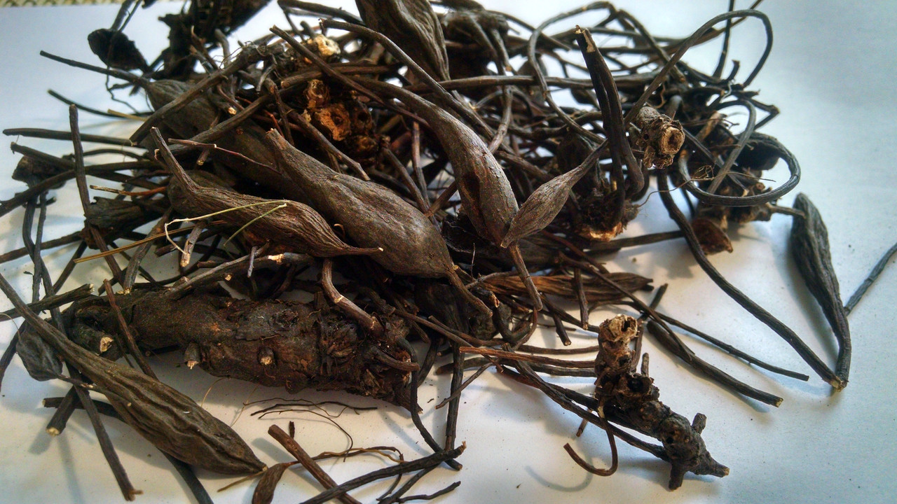 кореноплодни