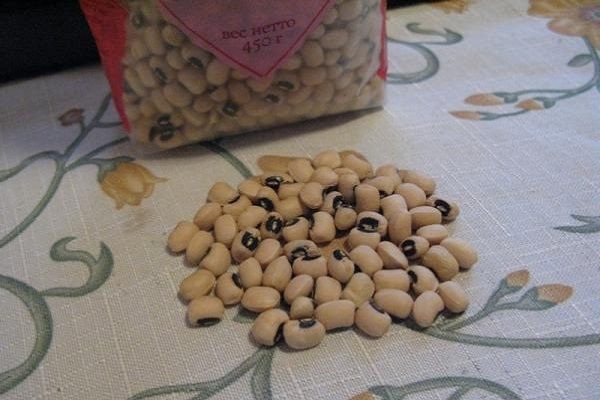 שעועית שחורה