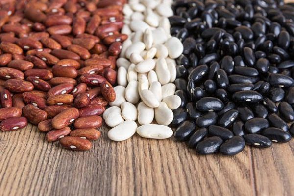 Bean Varieties