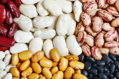 сортове боб