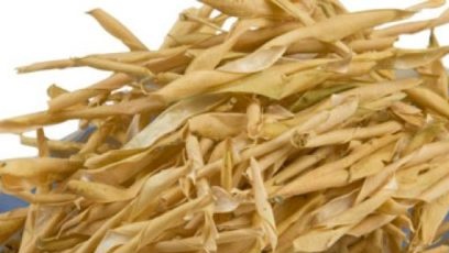 крила за боб