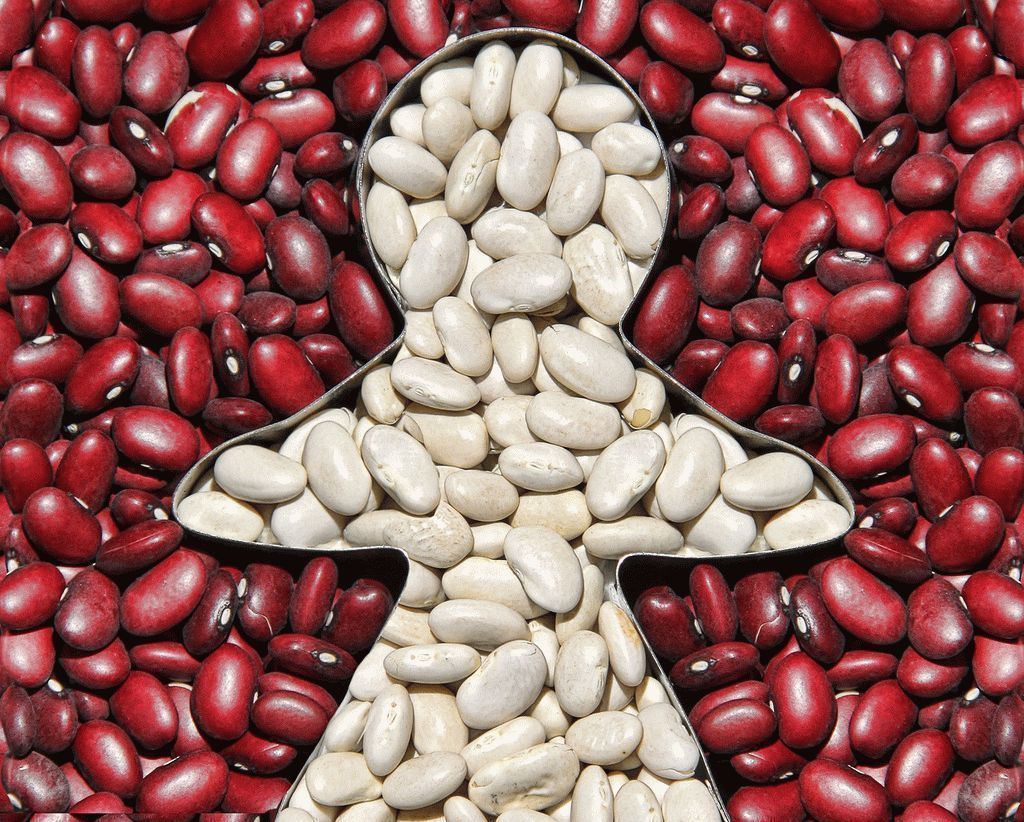 red and white beans