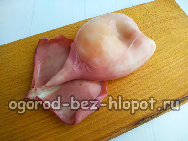 luộc mực và sạch