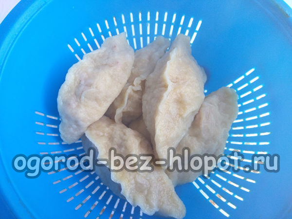 đặt trong một cái chao