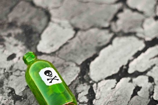 דשנים מסוכנים