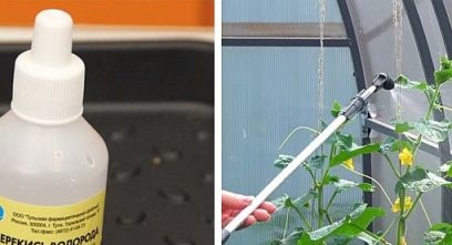 Peróxido d'hidrogen