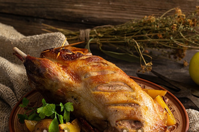 visa antis rankovėje krosnyje