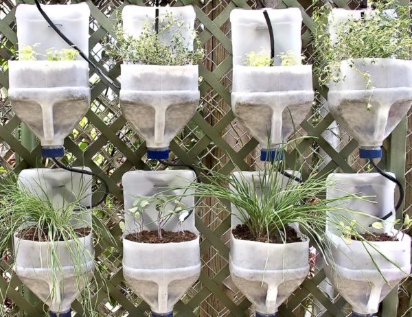 Amatai iš sodo balionėlių