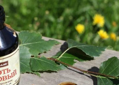 Да се ​​отървем от бъга и мечката