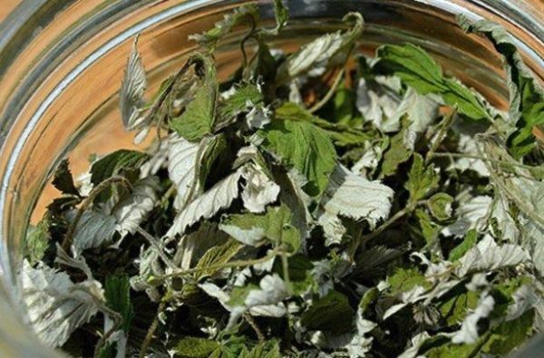 dry raspberry leaves