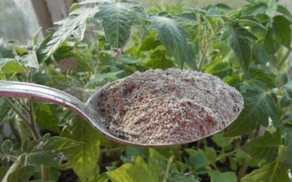 amaniment superior de tomàquets