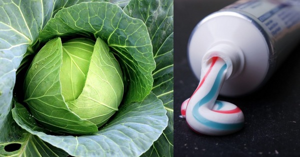 the use of toothpaste for cabbage