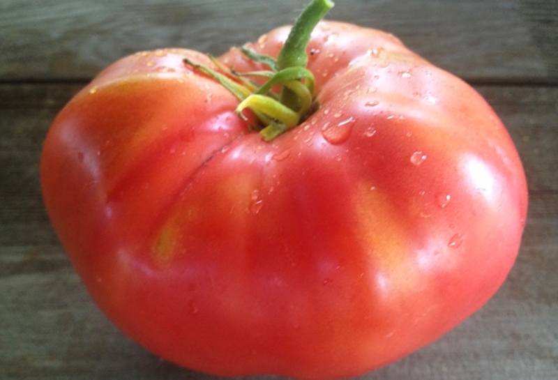 описание на сортовете от доматен розов мед