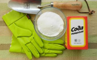 Tomatenmest frisdrank