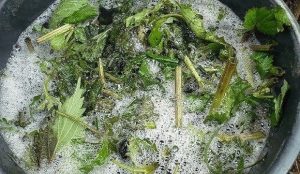 Top dressing of tomatoes with bread and nettles