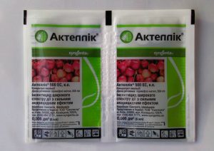 Actellic from the Colorado potato beetle