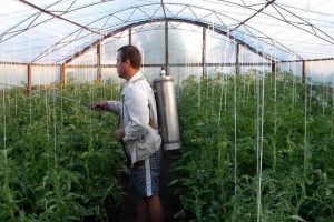 обработване