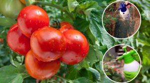 предотвратяване