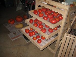 tomaten in dozen