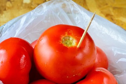 puncture a tomato