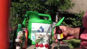 Подхранване с амоняк