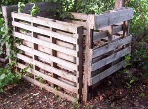 Tomato tops for compost