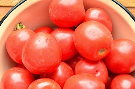 mijn tomaten