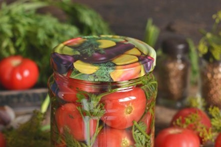 tomàquets per a l'hivern