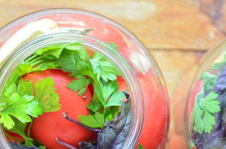 слагам магданоз и босилек