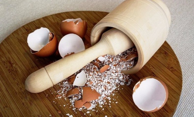 за торене домати