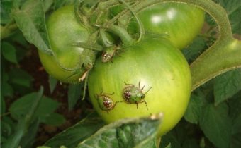 Грешки при грешки