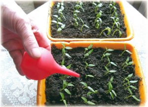 Борба с популярните методи