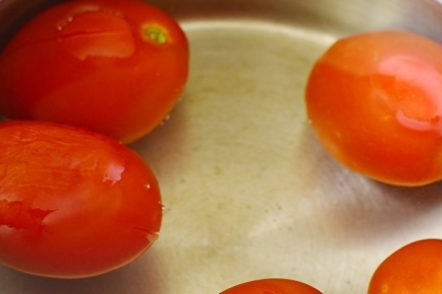 boiling on tomato