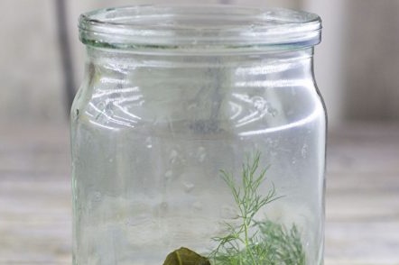 Зачини у тегли