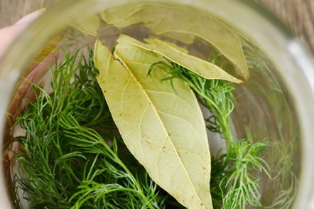 Разполагаме в банката