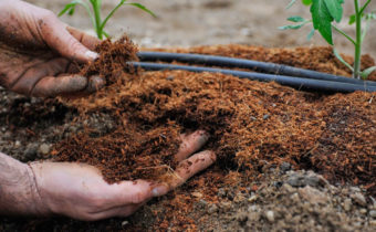 киселинност на почвата
