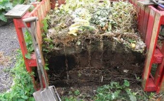 compost for tomatoes