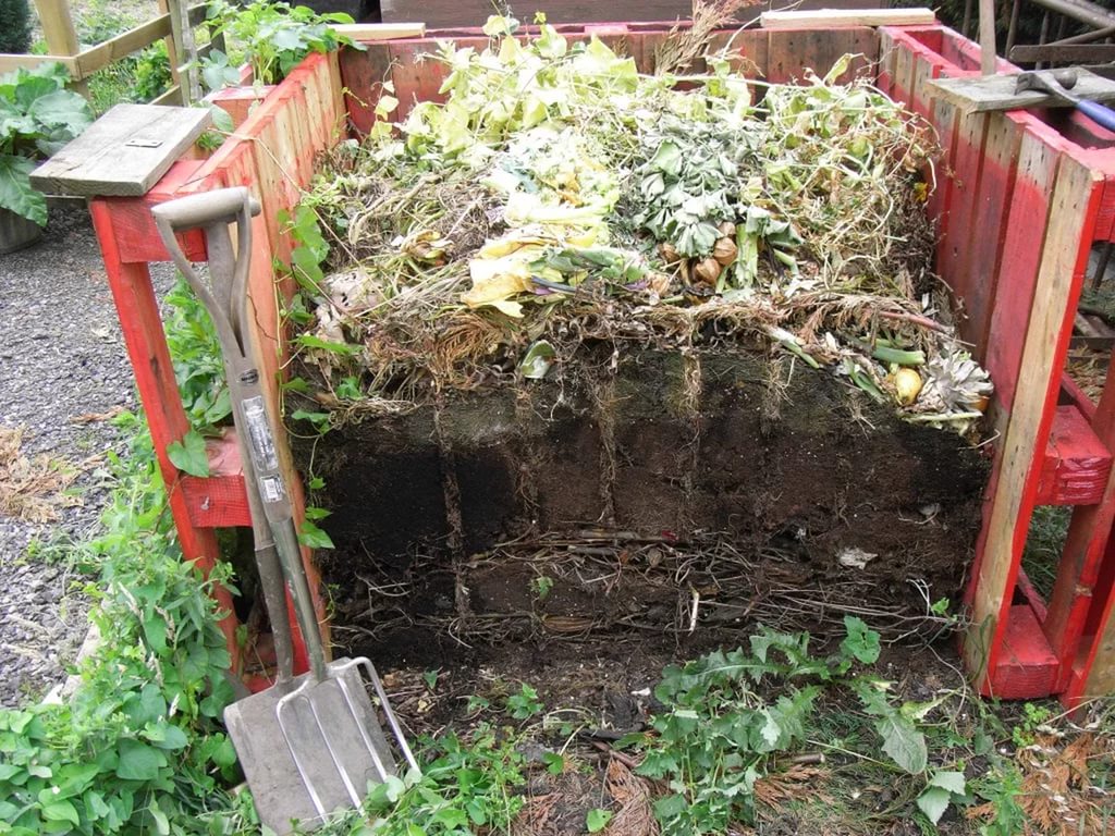 compost for tomatoes