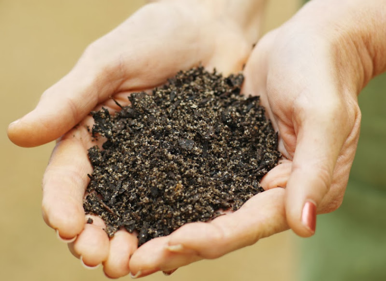 Compost for tomatoes