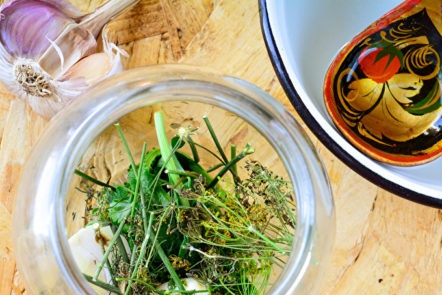 spicy herbs for harvesting