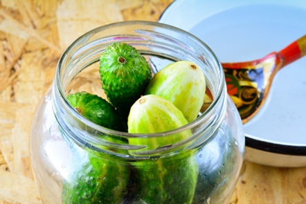 cucumbers in the bank