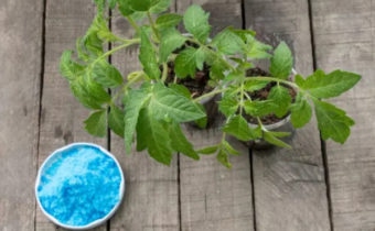 Меден сулфат