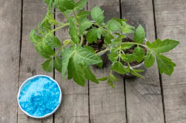 Меден сулфат