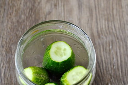 posar cogombres a la gerra