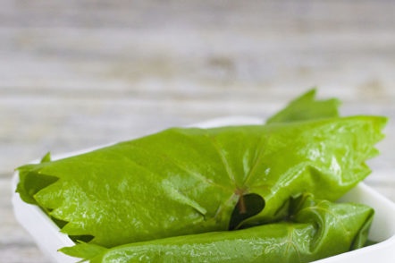 الخيار في الأوراق